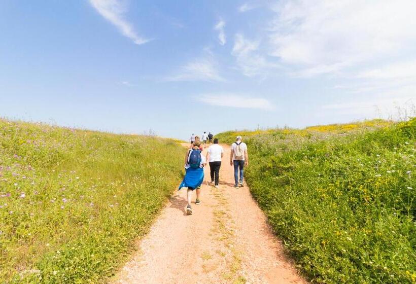 Pension Trapetum Salento Domus