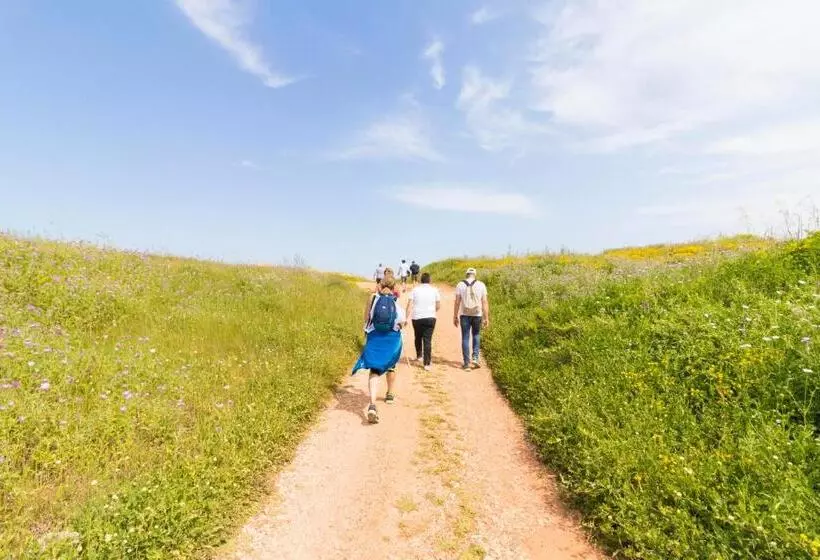Majatalo Trapetum Salento Domus