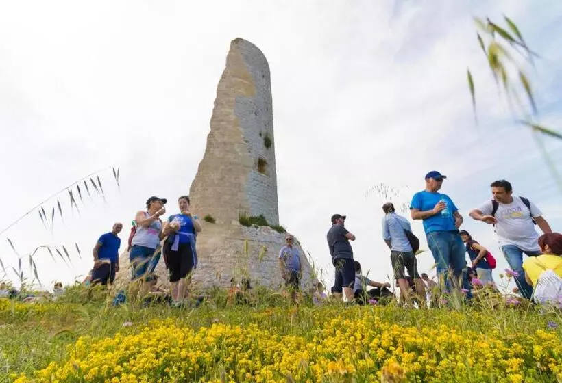 Majatalo Trapetum Salento Domus