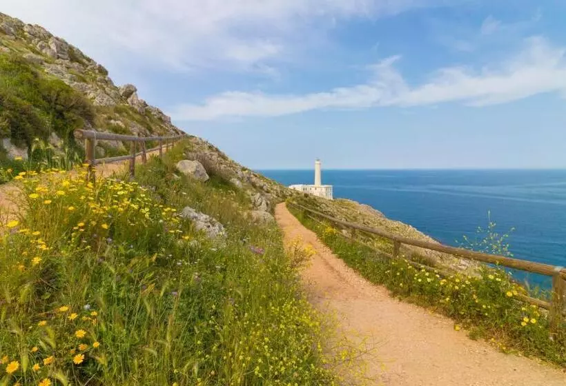 Majatalo Trapetum Salento Domus