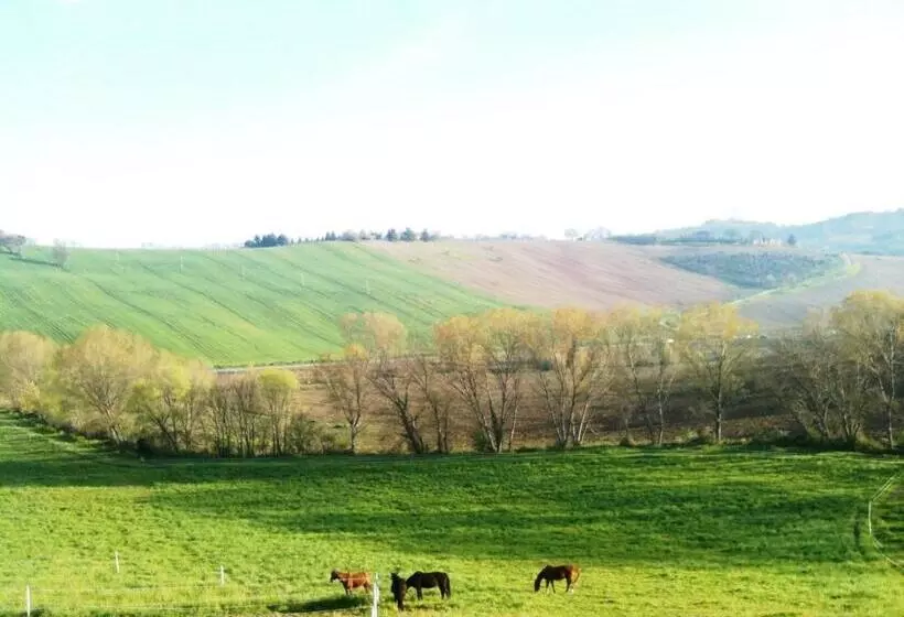 ホテル Agriturismo Casale Il Gallo Bianco