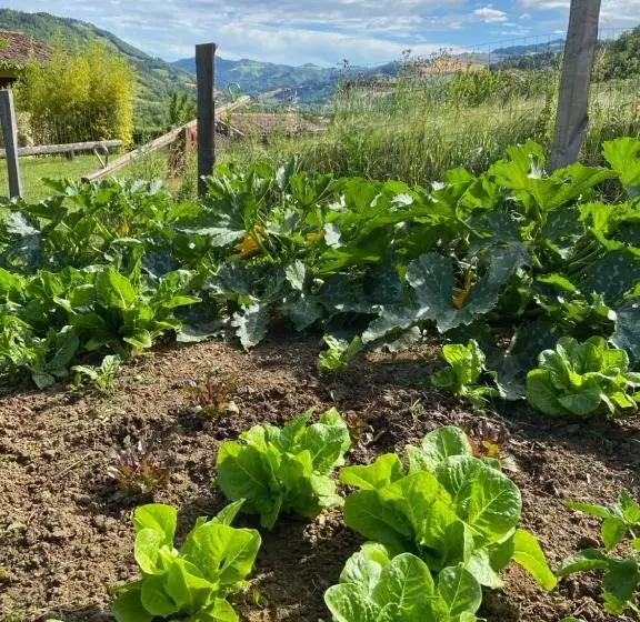 ホテル Agriturismo Popolano Di Sotto