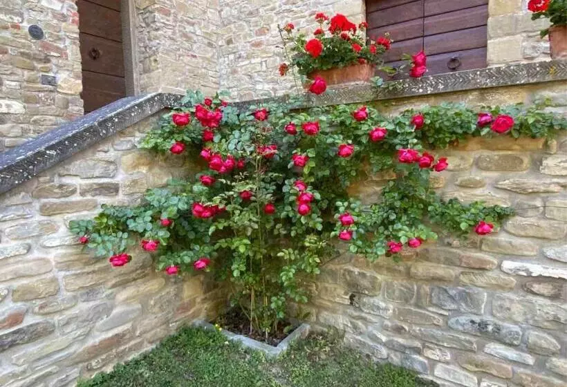 ホテル Agriturismo Popolano Di Sotto