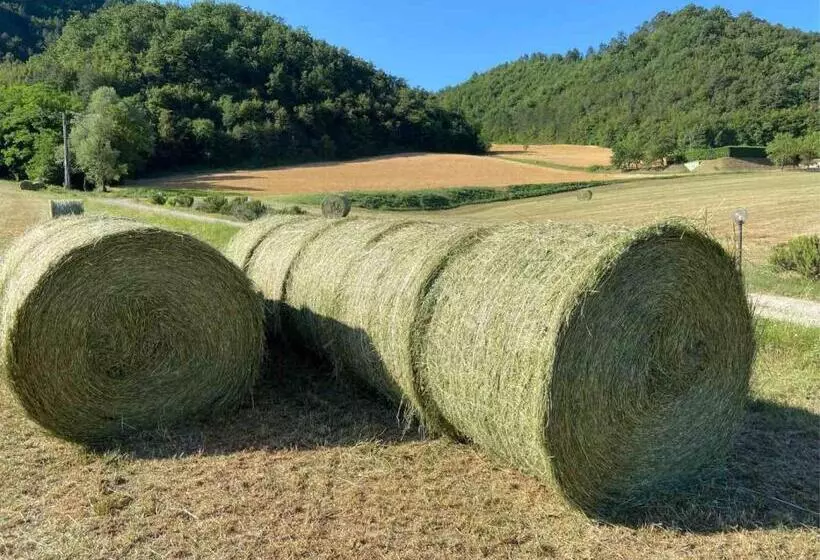 ホテル Agriturismo Popolano Di Sotto