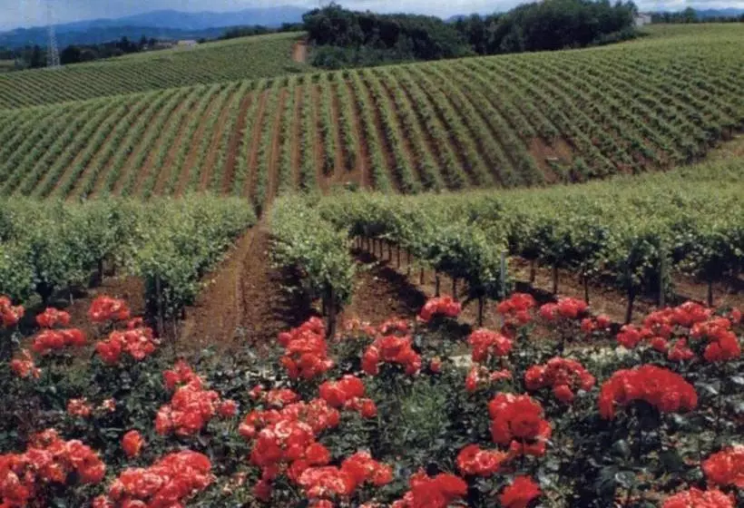 ホテル Agriturismo Tenuta La Marchesa