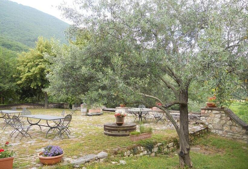 호텔 Il Giardino Degli Ulivi