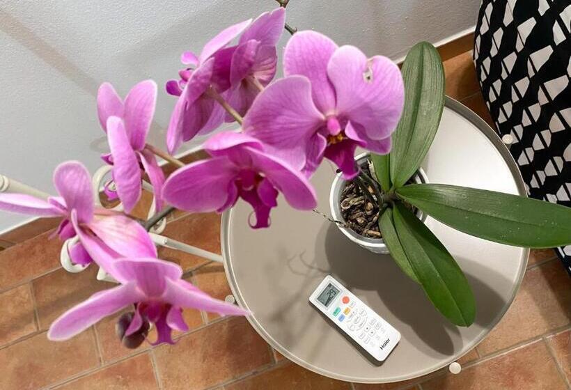 Отель La Cantina Del Podere Dei Boni