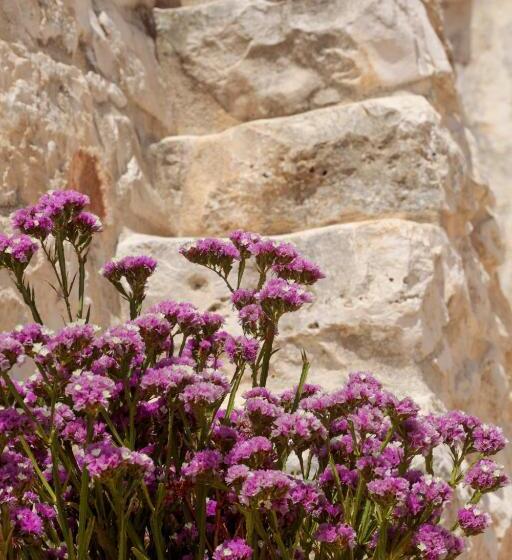 فندق Masseria Madonna Dell Arco Agriturismo