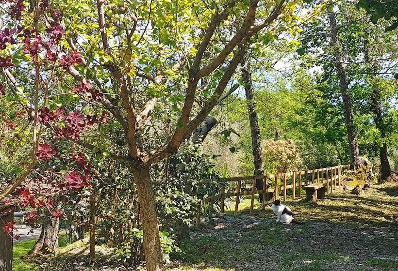 酒店 Verdeblu Country