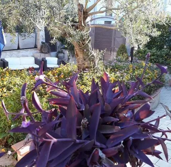 پانسیون B&b Borgo Santa Margherita