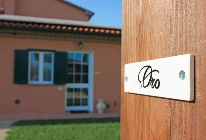 ホテル Agriturismo Ferruggini