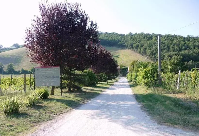 ホテル Agriturismo Gli Ippocastani