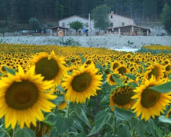 فندق Agriturismo Il Casale