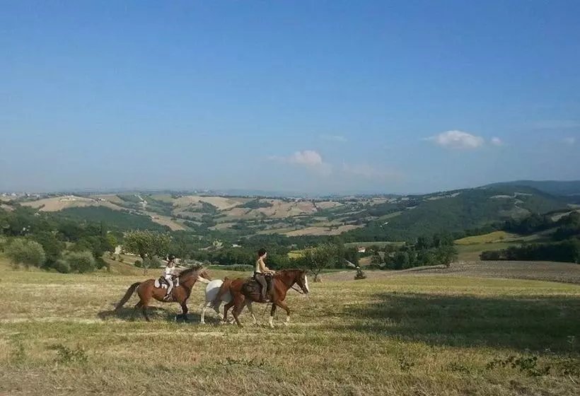 ホテル Agriturismo Il Casale