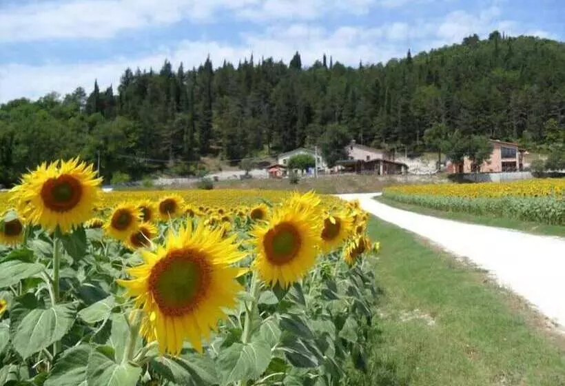 ホテル Agriturismo Il Casale