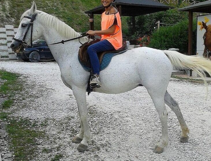 فندق Agriturismo Il Casale