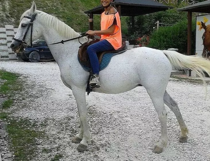 ホテル Agriturismo Il Casale