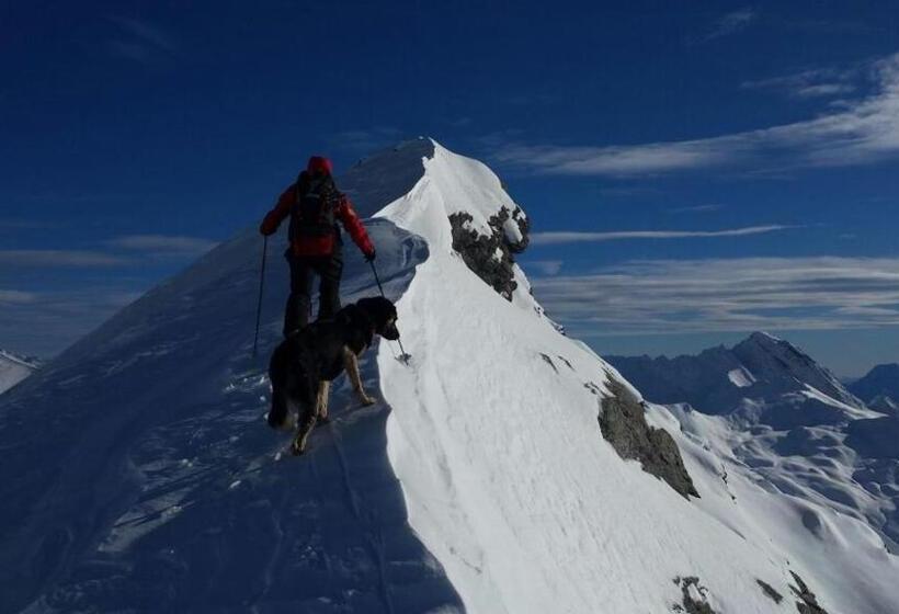 فندق Agriturismo Il Fiocco