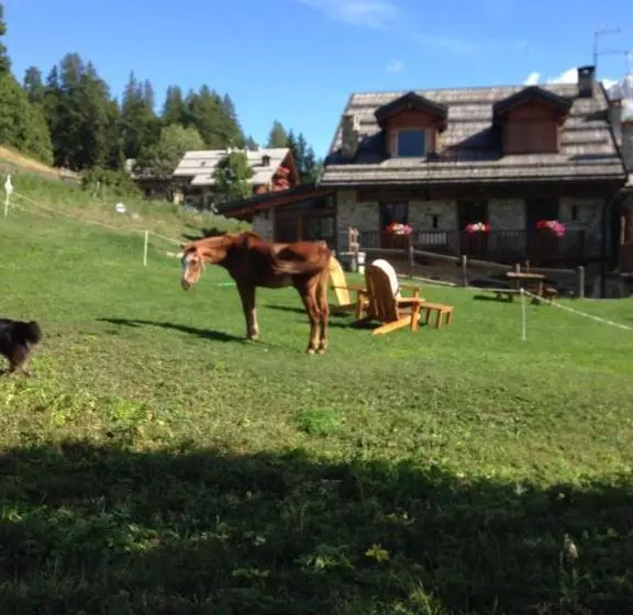 ホテル Agriturismo Il Fiocco