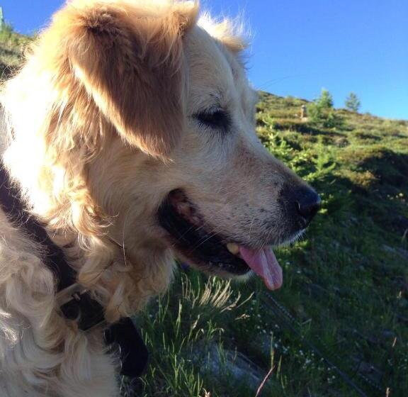 فندق Agriturismo Il Fiocco