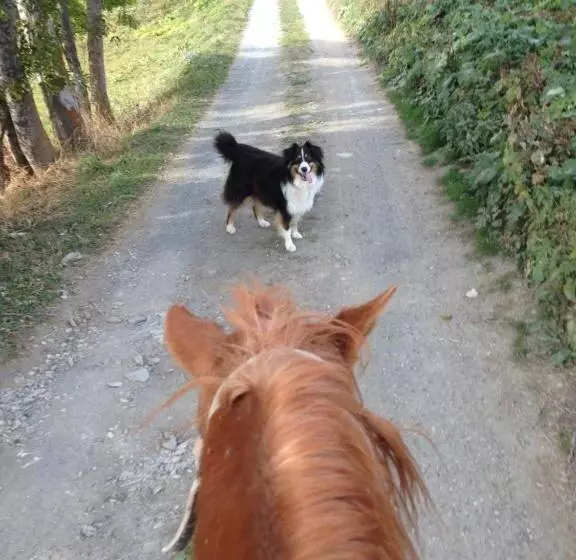 ホテル Agriturismo Il Fiocco