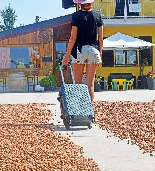 ホテル Agriturismo La Ruota