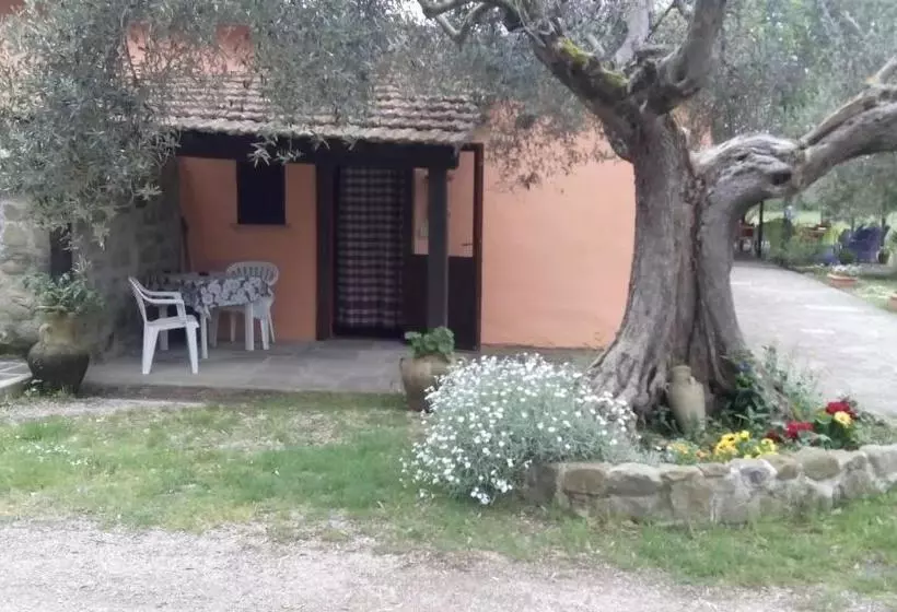 هتل Al Casolare