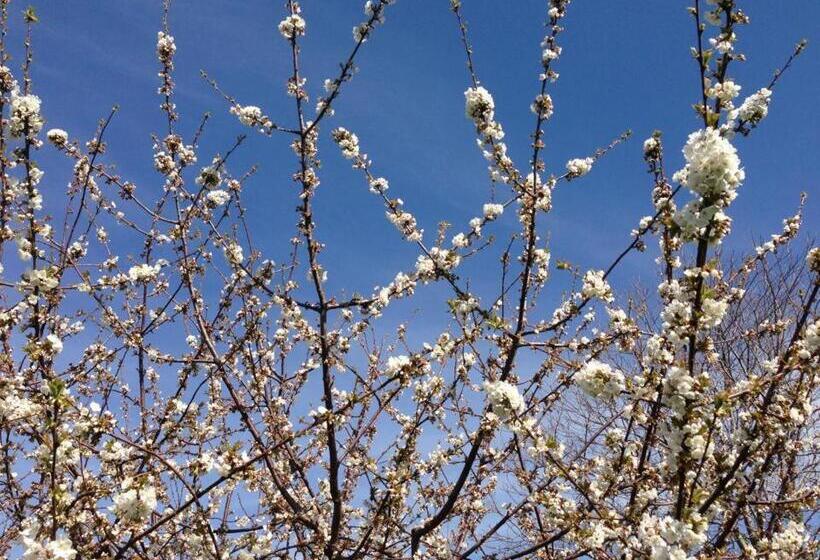 ホテル Case Perrotta