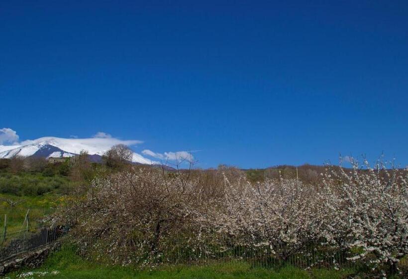 ホテル Case Perrotta