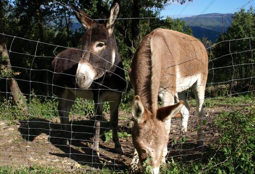 酒店 Costa D Orsola