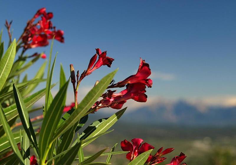 酒店 Costa D Orsola