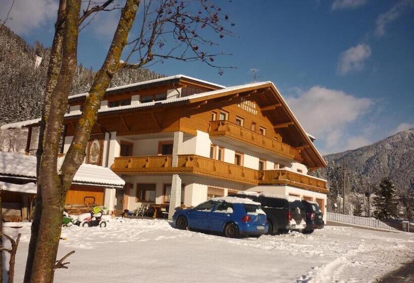 Отель Pension Wiesenhof