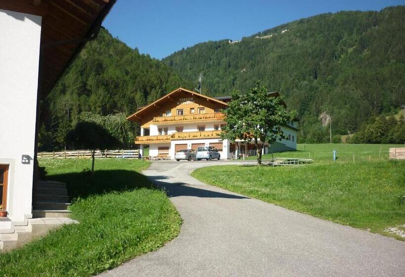 Отель Pension Wiesenhof