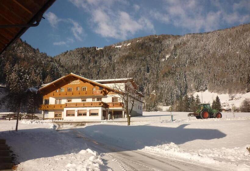 Отель Pension Wiesenhof