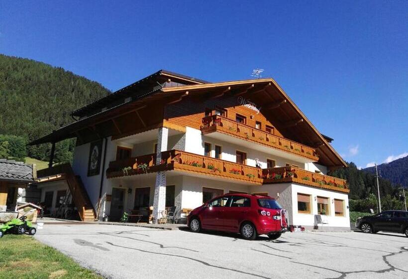 Отель Pension Wiesenhof
