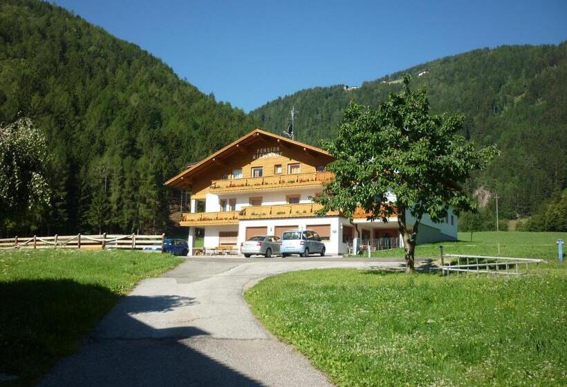 Отель Pension Wiesenhof