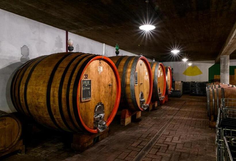 ペンション Cantina Anzivino   Affittacamere