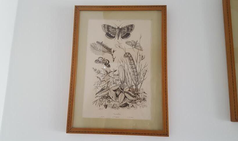 تختخواب و صبحانه Au Jeu De Paume