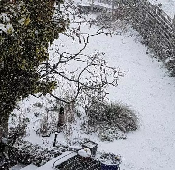 ベッドアンドブレックファースト 118 Shepherds Lane