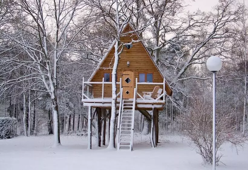 Aamiaismajoitus (B&B) Le Nid Dans Les Bruyeres