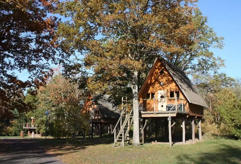 Aamiaismajoitus (B&B) Le Nid Dans Les Bruyeres