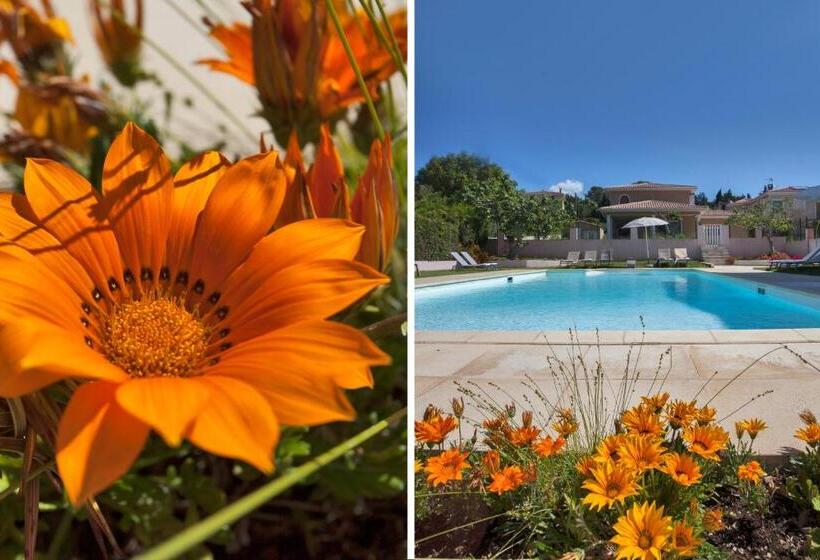 Résidence Villa Romana Avec Spa