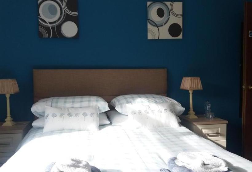 פנסיון Conifer Lodge