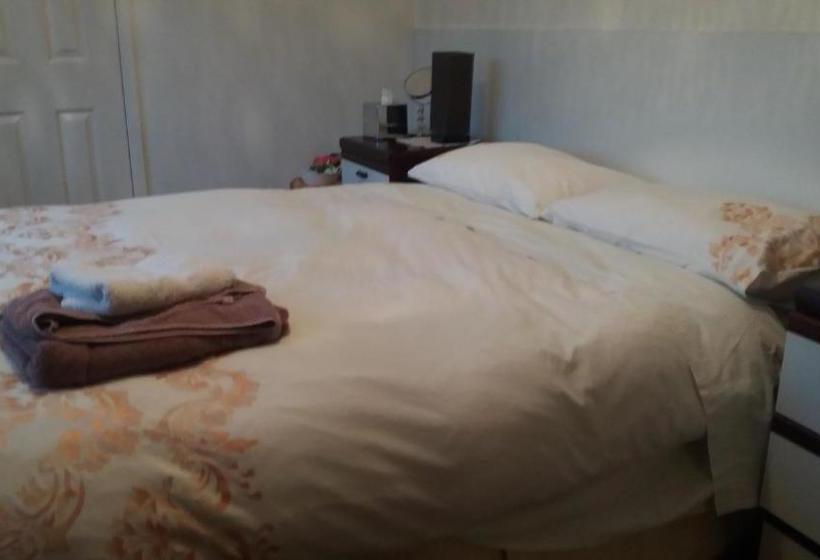 פנסיון Conifer Lodge