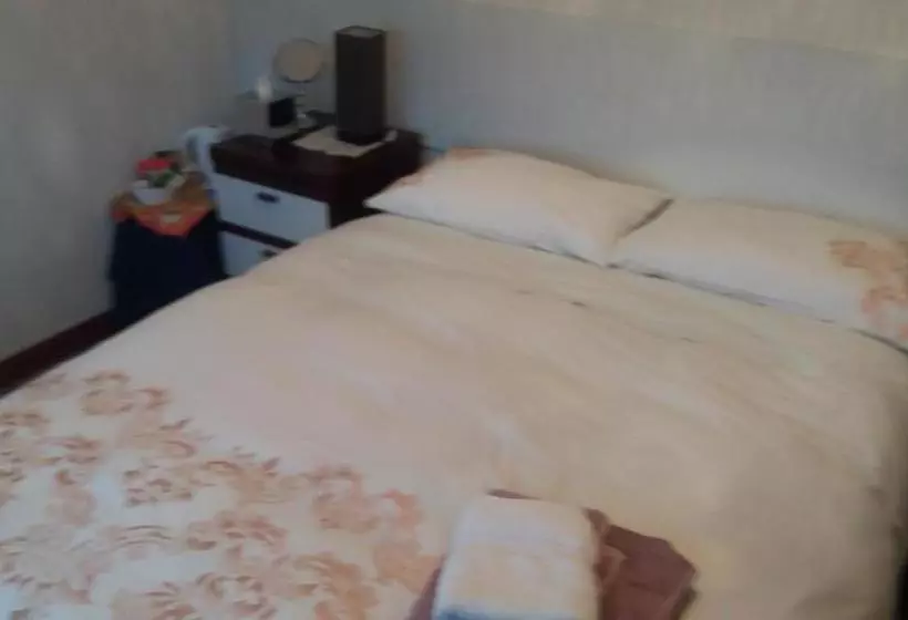 پانسیون Conifer Lodge
