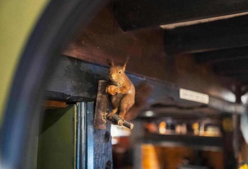 호스텔 George And Dragon