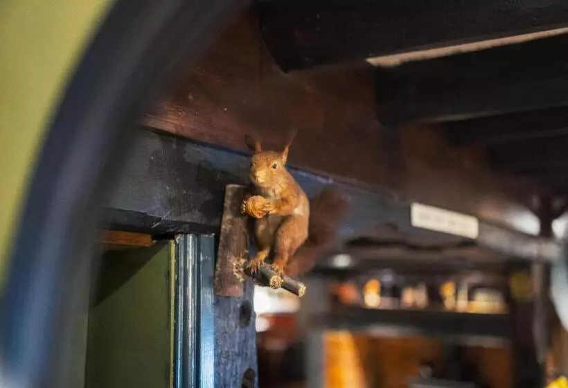 Retkeilymaja George And Dragon