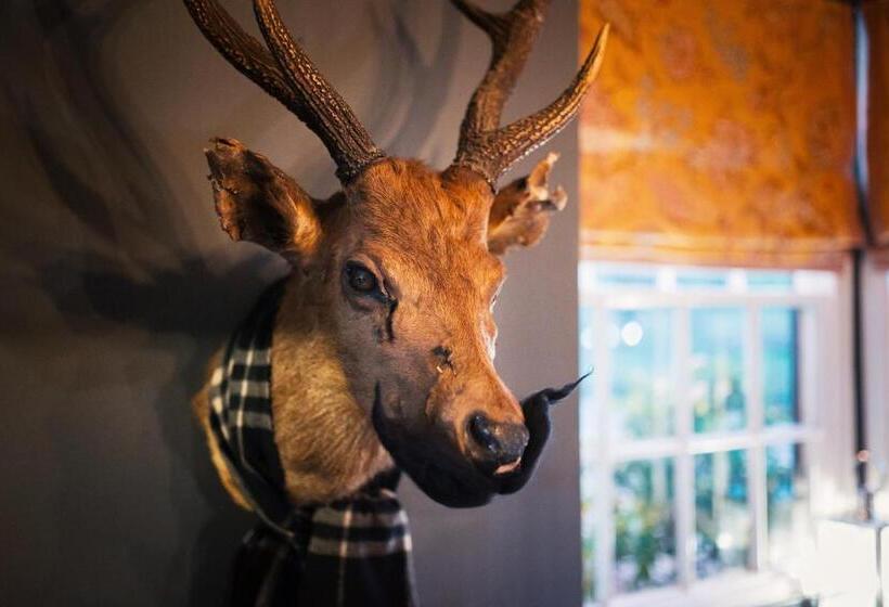 호스텔 George And Dragon