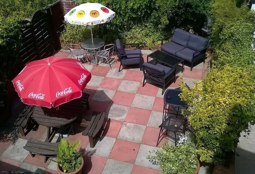 هاستل The Elbow Room