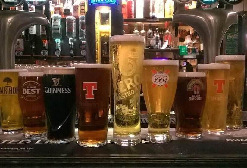 هاستل The Elbow Room